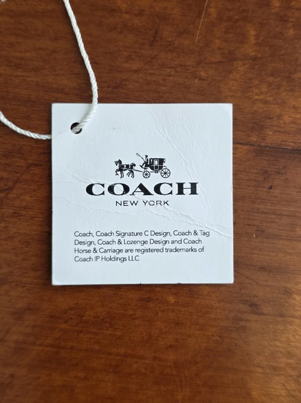 Coach 73192 Meadow Prairie Diamond Silk Scarf Mist Blue NWOT